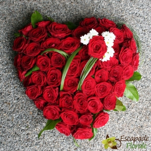 Coeur de roses rouges (Coussin)