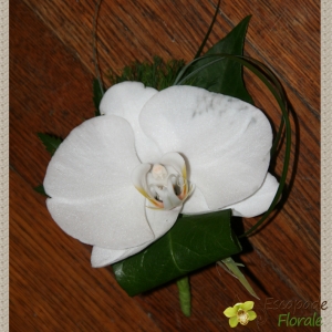 Boutonnière Phalaenopsis