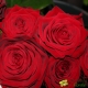 St Valentin - Composer votre Bouquet de Roses