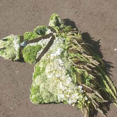 Tête de cheval florale – Création blanche raffinée 220 € Disponible à Roncq, Wervicq-Sud et en livraison Une pièce unique et marquante : notre tête de cheval florale est une création sur-mesure entièrement réalisée à la main dans des tons blancs élégants. Chaque détail est pensé pour représenter le cheval avec réalisme et délicatesse, en utilisant des fleurs fraîches de qualité, choisies avec soin par notre équipe.
