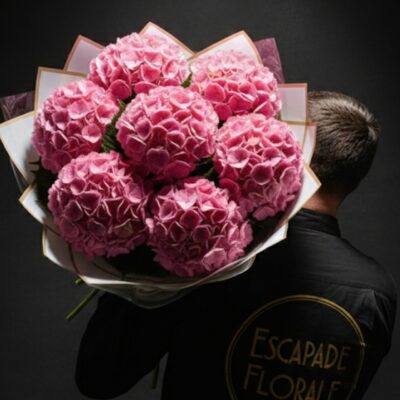 Le Bouquet "Nuage d'Hortensias" ​Type de produit : Bouquet de prestige XXL Style : Volumineux, moderne et monochrome Disponibilité : Roncq & Wervicq-Sud ​Composition du bouquet ​Cette réalisation se distingue par sa structure imposante et son élégance minimaliste, mettant en avant la générosité d'une seule variété florale. ​Fleur principale : ​Hortensias (Hydrangea) Roses : Sélectionnés pour leur diamètre exceptionnel et la densité de leurs pétales. ​Habillage : ​Structure de papier kraft blanc et liseré doré : Un emballage rigide en corolle qui soutient le poids des fleurs tout en créant un contraste lumineux. ​Signature : Présenté avec le savoir-faire artisanal de l'équipe Escapade Florale. ​Conseils d'Expert pour la Durabilité ​Hydratation maximale : L'hortensia est très gourmand en eau. Vaporisez légèrement les têtes de fleurs chaque jour pour maintenir leur turgescence. ​Préparation des tiges : Pour une meilleure absorption, fendez la base de la tige en croix sur 2 cm ou utilisez un sécateur bien affûté. ​Eau fraîche : Changez l'eau du vase quotidiennement en veillant à ce qu'elle soit toujours propre et abondante. ​Points de vente ​Retrouvez cette création exclusive dans nos deux boutiques : ​Escapade Florale - Roncq : 10 rue Jules Cornard, 59223 Roncq. ​Escapade Florale by Sam - Wervicq-Sud : 51 rue Gabriel Péri, 59117 Wervicq-Sud.
