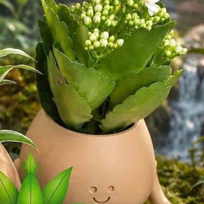 Happy Pot